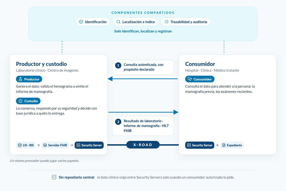 Modelo federado: productor, custodio y consumidor intercambian resultados de laboratorio e informes de mamografía sobre X-Road