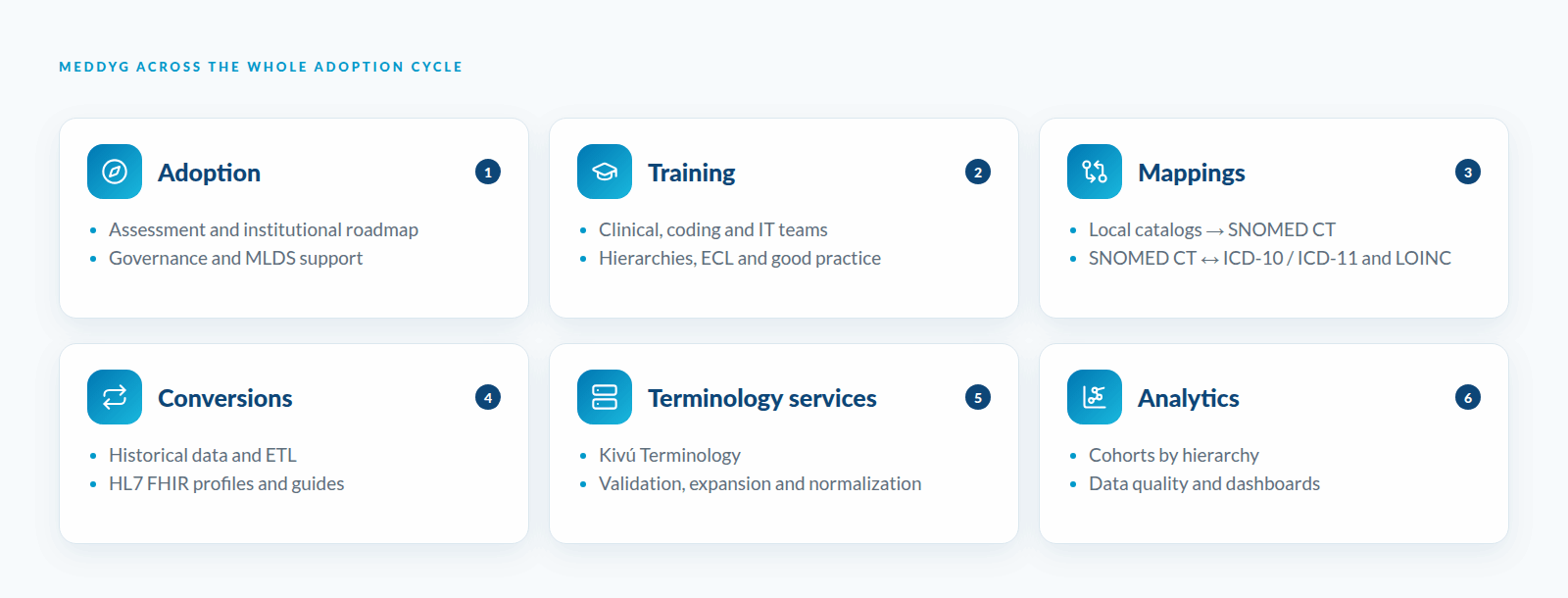 Meddyg across the whole SNOMED CT adoption cycle: adoption, training, mappings, conversions, terminology services and analytics