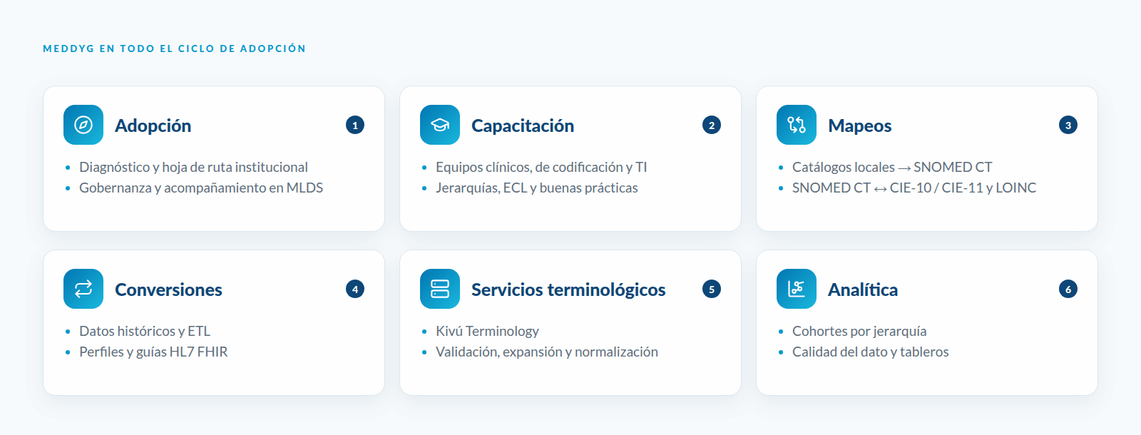 Meddyg en todo el ciclo de adopción de SNOMED CT: adopción, capacitación, mapeos, conversiones, servicios terminológicos y analítica